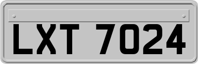 LXT7024