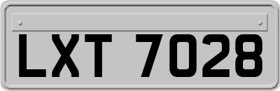 LXT7028