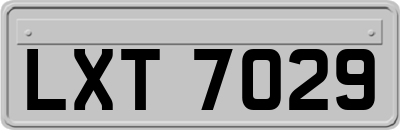 LXT7029