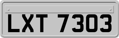 LXT7303