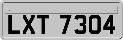 LXT7304