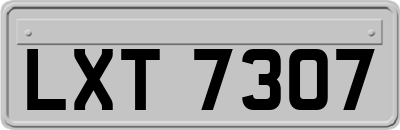 LXT7307