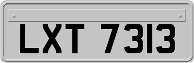LXT7313