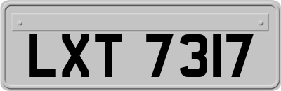 LXT7317