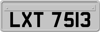 LXT7513