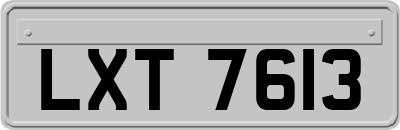 LXT7613