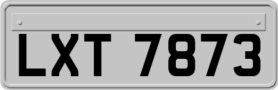 LXT7873