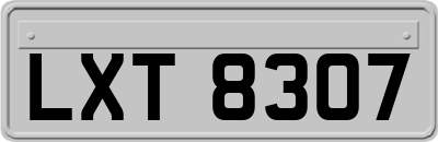 LXT8307