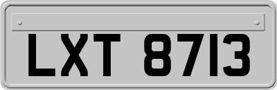 LXT8713