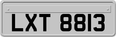 LXT8813
