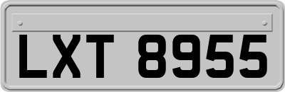 LXT8955