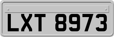 LXT8973