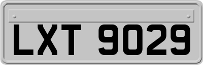 LXT9029