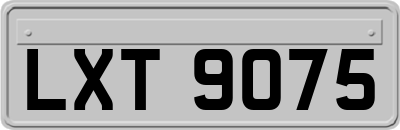 LXT9075
