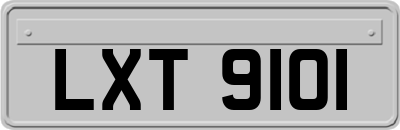 LXT9101