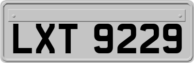LXT9229