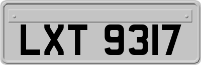 LXT9317