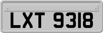 LXT9318