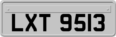 LXT9513