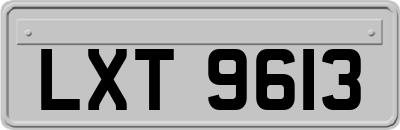 LXT9613