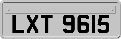 LXT9615