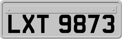 LXT9873