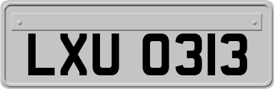 LXU0313