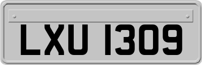 LXU1309