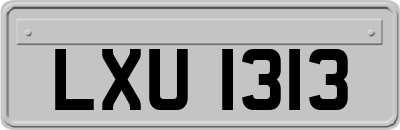 LXU1313