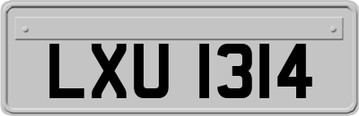 LXU1314