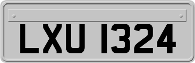 LXU1324