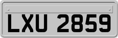 LXU2859