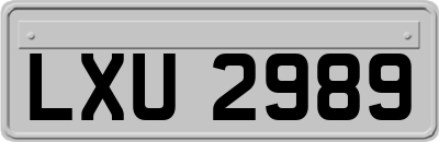 LXU2989