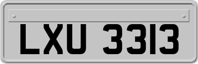 LXU3313
