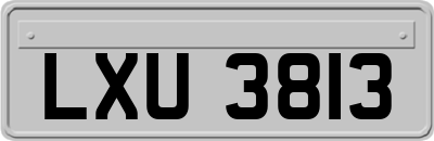 LXU3813