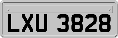 LXU3828