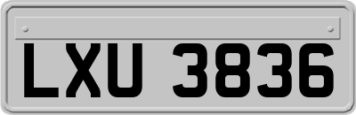 LXU3836
