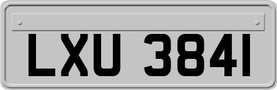 LXU3841
