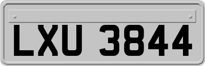 LXU3844