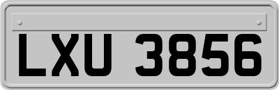 LXU3856