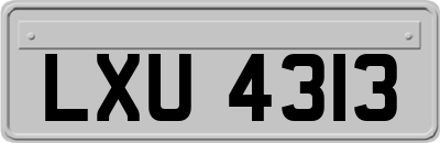 LXU4313