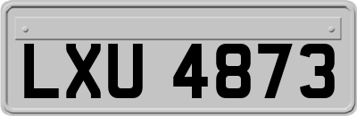 LXU4873