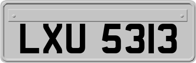LXU5313