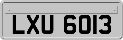 LXU6013