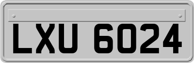 LXU6024