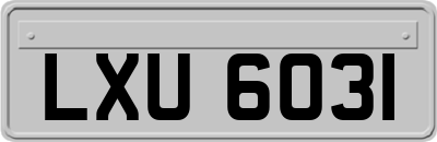 LXU6031