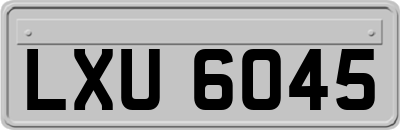 LXU6045
