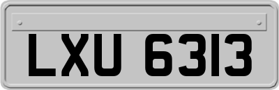 LXU6313
