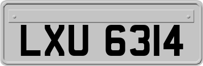 LXU6314