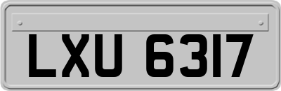 LXU6317